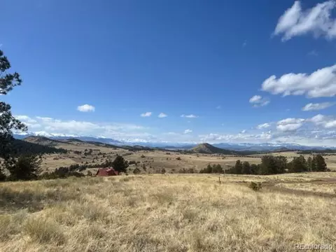 1100 Junkins Loop, Westcliffe, CO 81252 photo 9