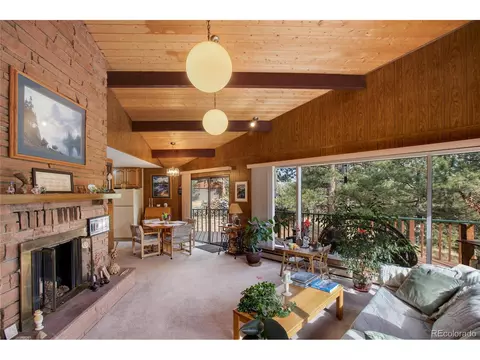 596 Ridge Rd, Divide, CO 80814 photo 14