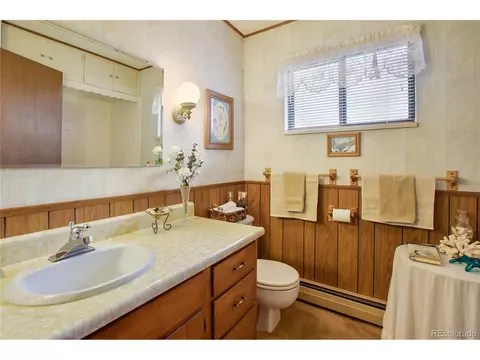 596 Ridge Rd, Divide, CO 80814 photo 19