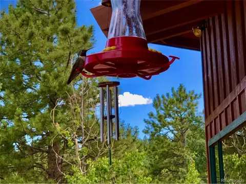 596 Ridge Rd, Divide, CO 80814 photo 33