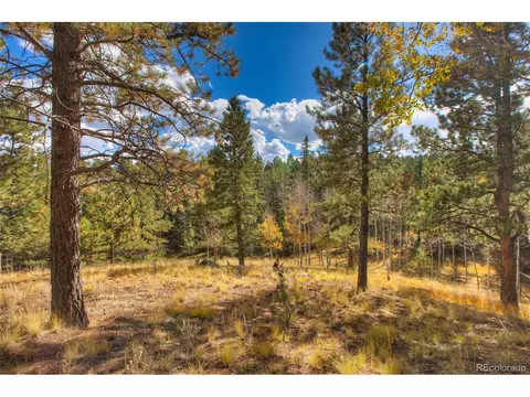 596 Ridge Rd, Divide, CO 80814 photo 41