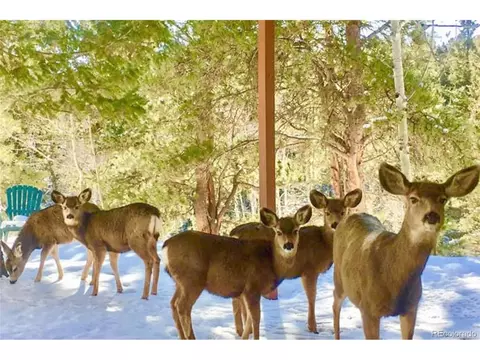 596 Ridge Rd, Divide, CO 80814 photo 38