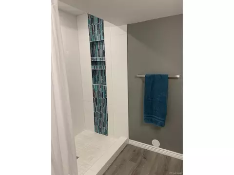 19806 E 40th Pl, Denver, CO 80249 photo 31
