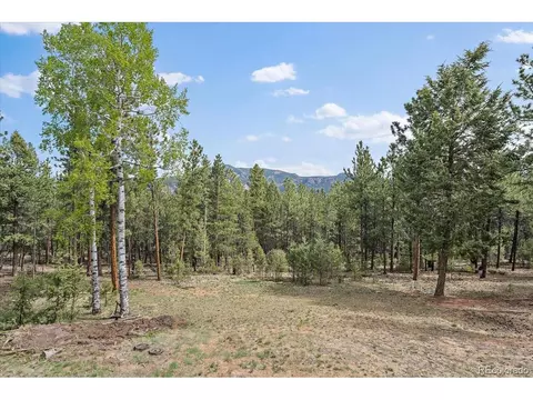 13191 Piute Dr, Pine, CO 80470 photo 33