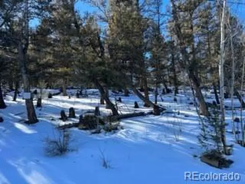 2885 Middle Fork Vis, Fairplay, CO 80440