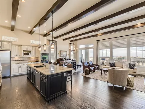10489 Montecito Dr, Lone Tree, CO 80124 photo 10