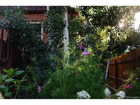 3010 Cherry St, Denver, CO 80207 photo 30