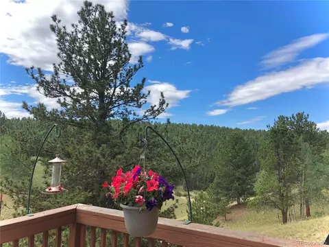 3527 Blue Mesa Dr, Divide, CO 80814 photo 16