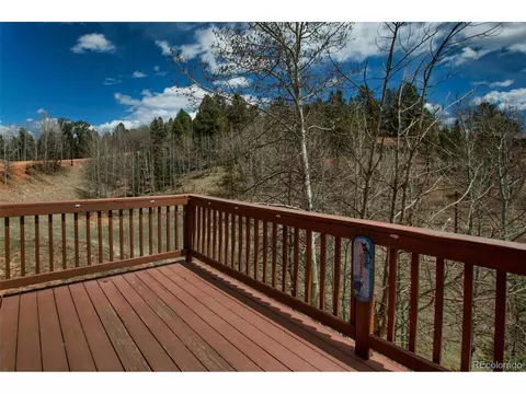 3527 Blue Mesa Dr, Divide, CO 80814 photo 14