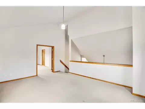 3527 Blue Mesa Dr, Divide, CO 80814 photo 19