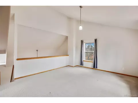 3527 Blue Mesa Dr, Divide, CO 80814 photo 18