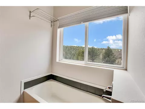 3527 Blue Mesa Dr, Divide, CO 80814 photo 27