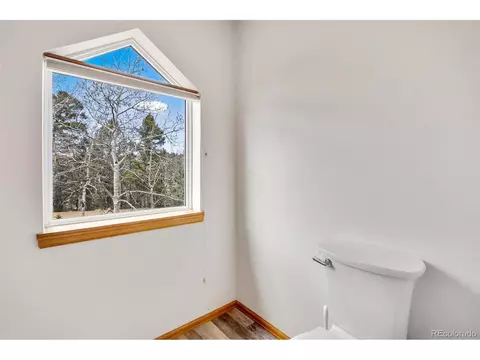 3527 Blue Mesa Dr, Divide, CO 80814 photo 28
