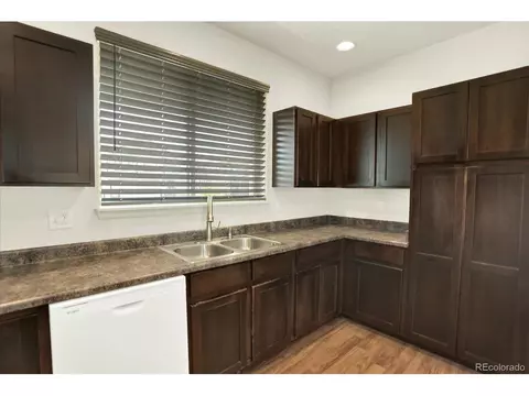 1644 Thrive Dr, Windsor, CO 80550 photo 15