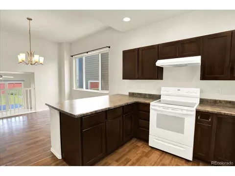 1644 Thrive Dr, Windsor, CO 80550 photo 19