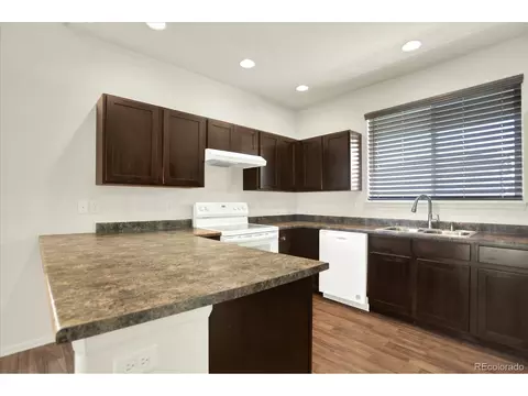 1644 Thrive Dr, Windsor, CO 80550 photo 14