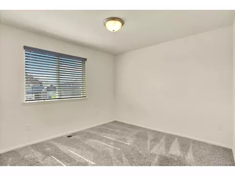 1644 Thrive Dr, Windsor, CO 80550 photo 25