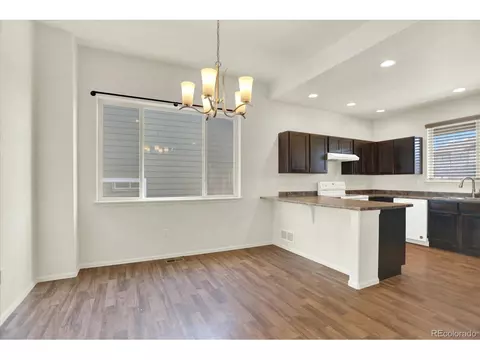 1644 Thrive Dr, Windsor, CO 80550 photo 11