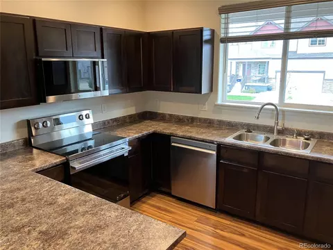 1644 Thrive Dr, Windsor, CO 80550 photo 16
