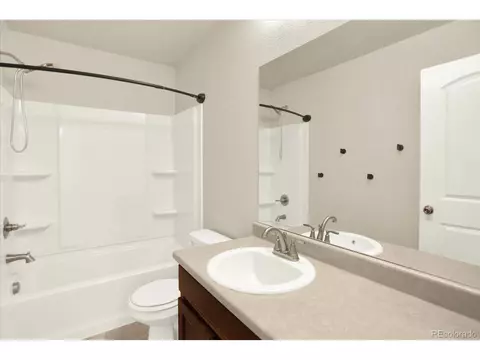 1644 Thrive Dr, Windsor, CO 80550 photo 28