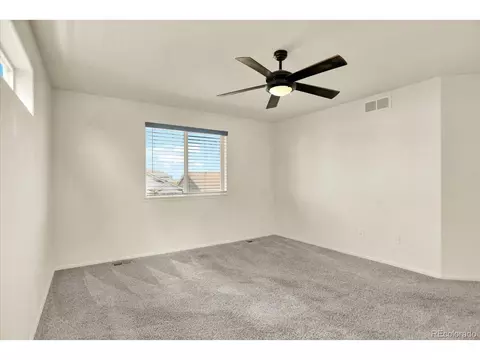 1644 Thrive Dr, Windsor, CO 80550 photo 23