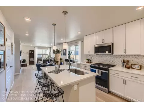 10221 E 62nd Pl, Denver, CO 80238 photo 8