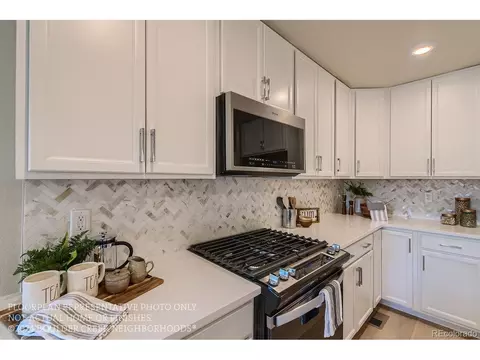 10221 E 62nd Pl, Denver, CO 80238 photo 11