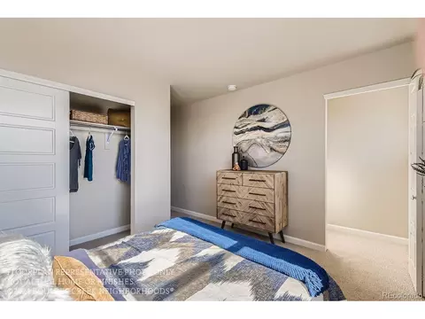 10221 E 62nd Pl, Denver, CO 80238 photo 19