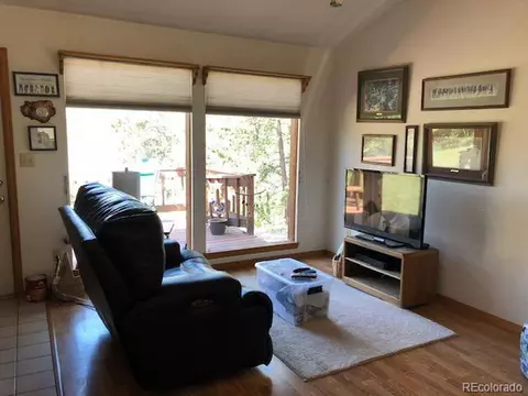 85 Mable Ln, Bailey, CO 80421 photo 7