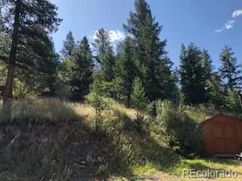 85 Mable Ln, Bailey, CO 80421 photo 5