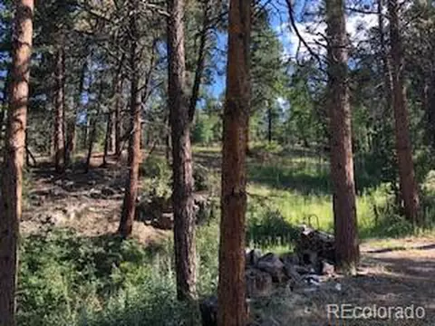 85 Mable Ln, Bailey, CO 80421 photo 11