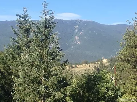 85 Mable Ln, Bailey, CO 80421 photo 2