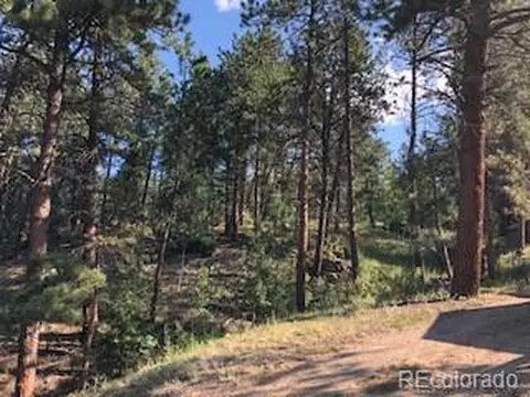 85 Mable Ln, Bailey, CO 80421 photo 12