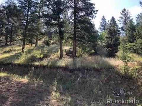 85 Mable Ln, Bailey, CO 80421 photo 13