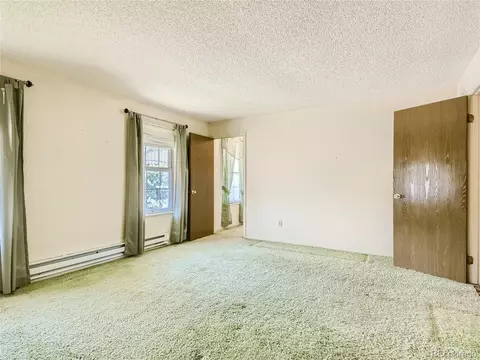 11090 Eudora Way, Thornton, CO 80233 photo 18