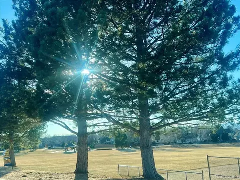 Other - 19418 E Crestridge Cir, Centennial, CO 80015 photo 8 of 8