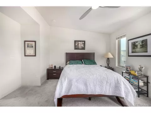 9084 E 49th Pl, Denver, CO 80238 photo 29