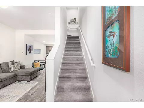 9084 E 49th Pl, Denver, CO 80238 photo 14
