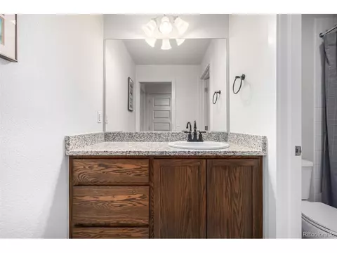 9084 E 49th Pl, Denver, CO 80238 photo 39