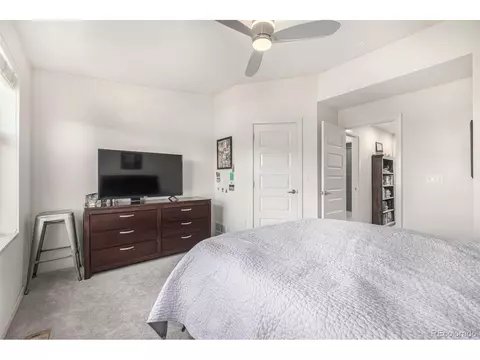 9084 E 49th Pl, Denver, CO 80238 photo 32