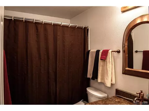 522 Polar Ct, Silverthorne, CO 80498 photo 14