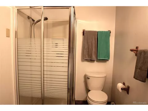 522 Polar Ct, Silverthorne, CO 80498 photo 19