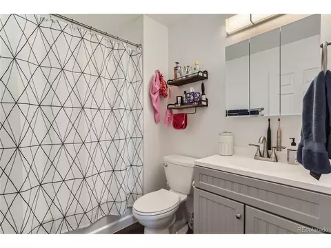 18629 E 46th Pl, Denver, CO 80249 photo 18