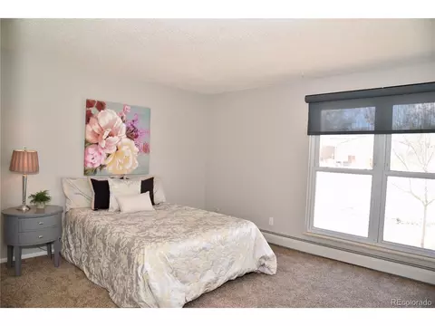 5452 E 108th Pl, Thornton, CO 80233 photo 19