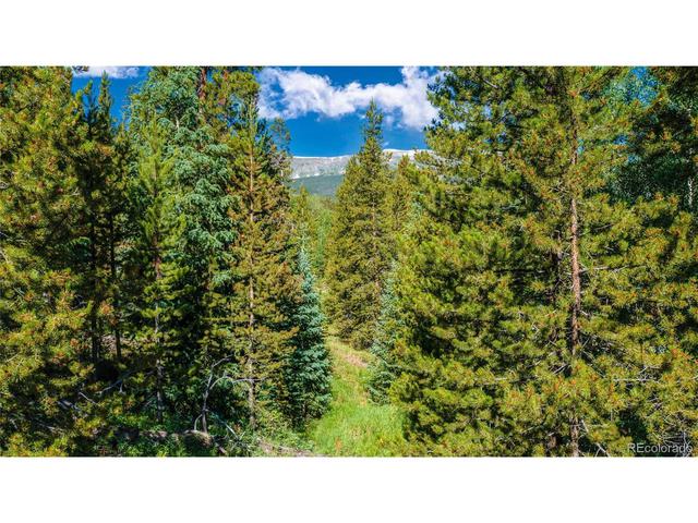 1358 American Way, Breckenridge, CO 80424