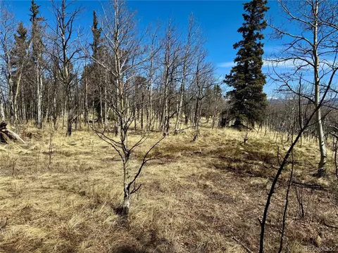 102 Antelope Cir, Jefferson, CO 80456