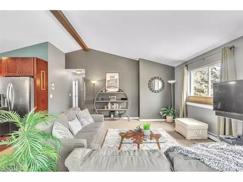 809 Roland Dr, Bailey, CO 80421