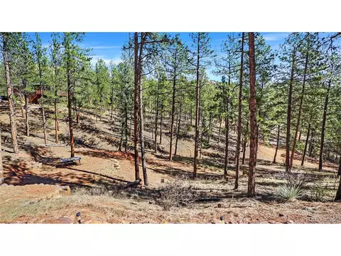 Exterior - 16536 Ouray Rd, Pine, CO 80470 photo 7 of 9