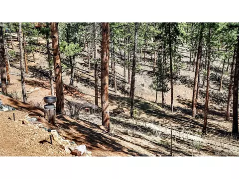 Exterior - 16536 Ouray Rd, Pine, CO 80470 photo 4 of 9