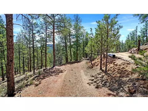 Exterior - 16536 Ouray Rd, Pine, CO 80470 photo 8 of 9